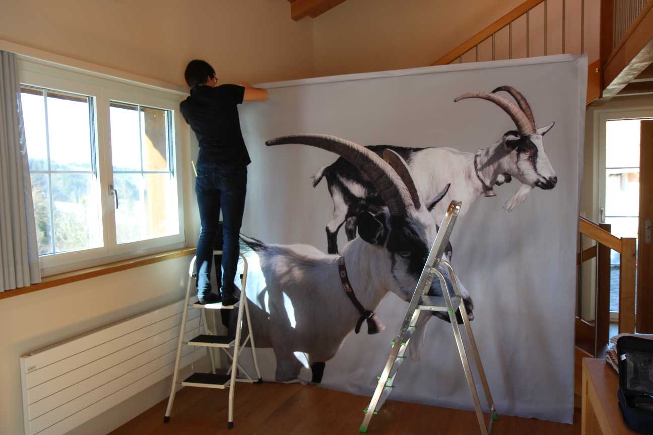 Image from Wandbespannungen album