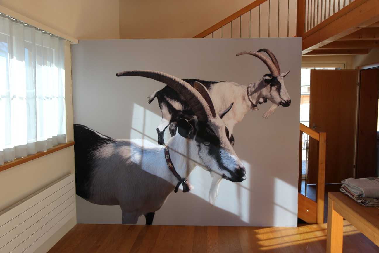 Image from Wandbespannungen album